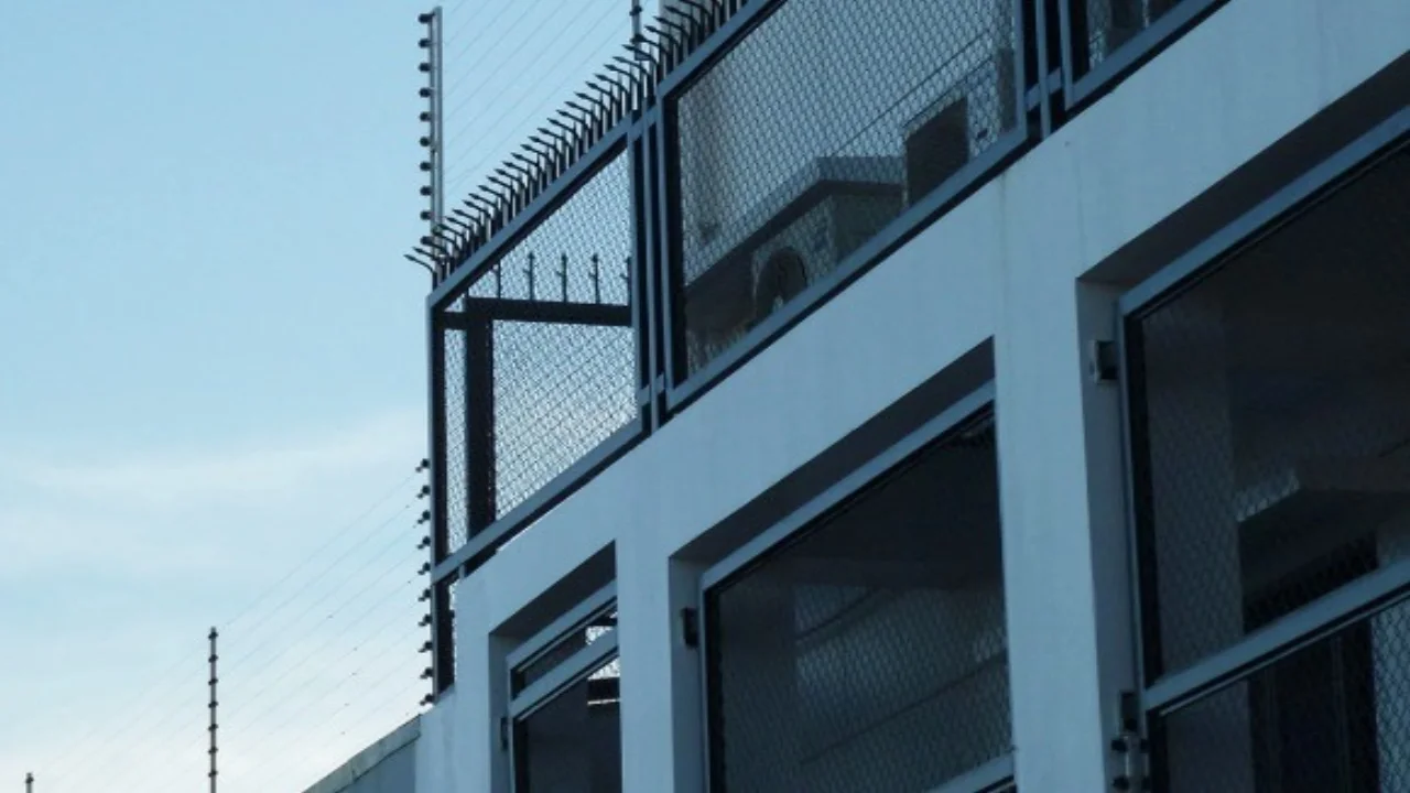 Security electric fence wires